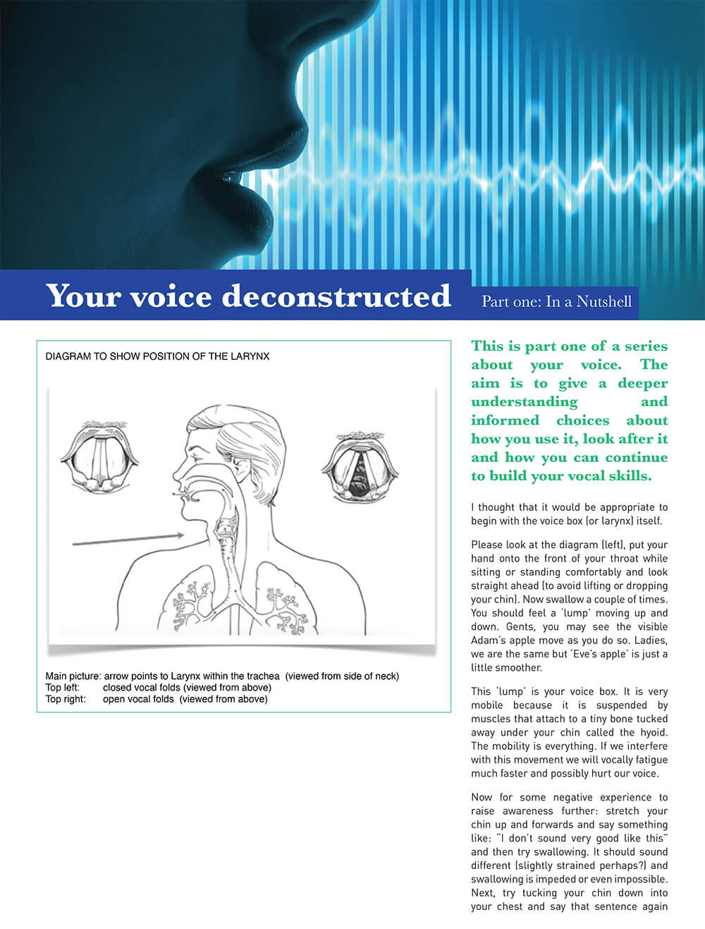 The VoiceeOver Network Voice Deconstructed by Yvonne Morley